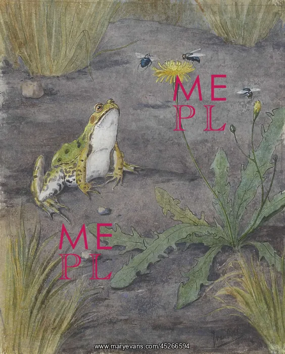 : Frog Near a Dandelion with Flies : Frog Near a Dandelion with Flies