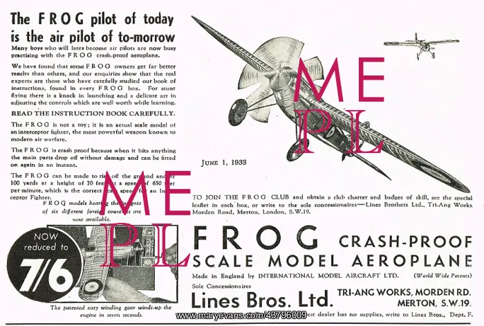 : Frog Pilot Today The Air Pilot Of Tomorrow : Frog Pilot Today The Air Pilot Of Tomorrow