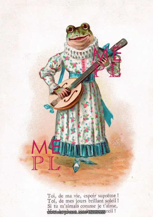 : Frog playing a mandolin on a French postcard : Frog playing a mandolin on a French postcard