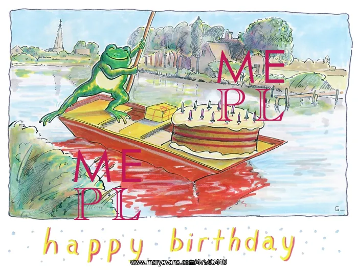  : Frog on a punt with a birthday cake
