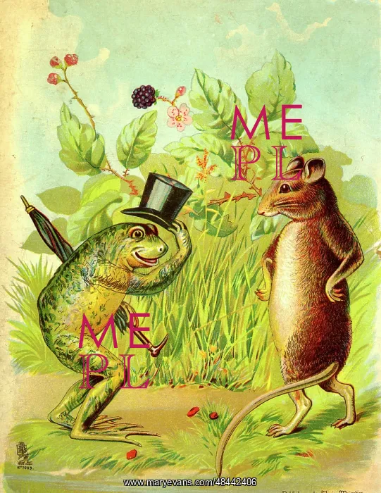  : The Frog and the Rat