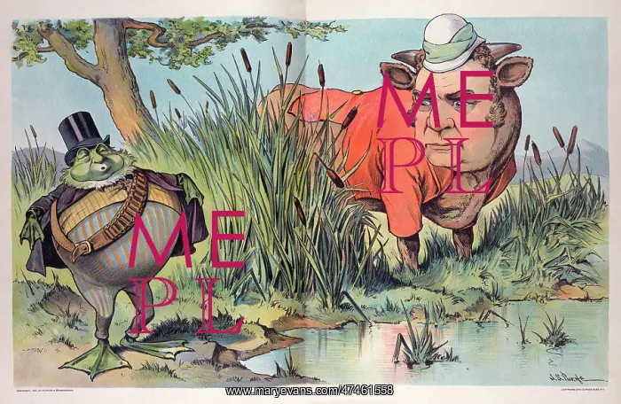 : The frog who tried to be as big as a bull : The frog who tried to be as big as a bull