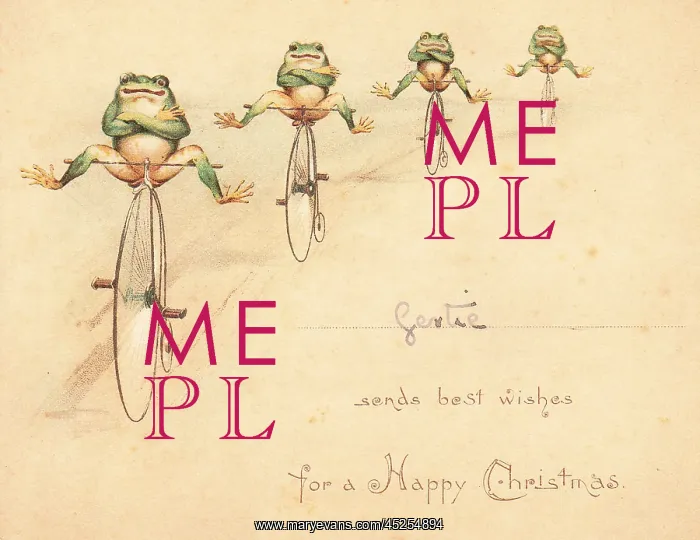: Four frogs on bicycles on a Christmas card : Four frogs on bicycles on a Christmas card
