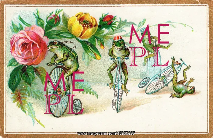 : Four frogs on bicycles with flowers on a greetings card : Four frogs on bicycles with flowers on a greetings card