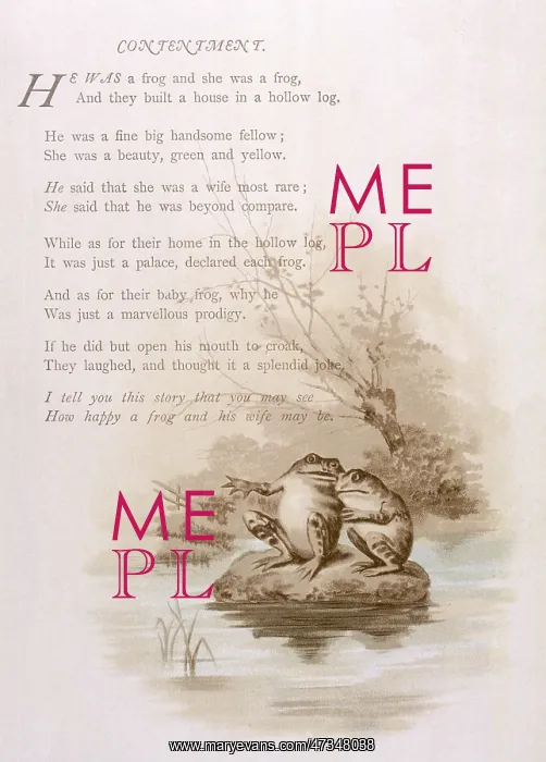 : FROGS / 'CONTENTMENT'1880S : FROGS / 'CONTENTMENT'1880S