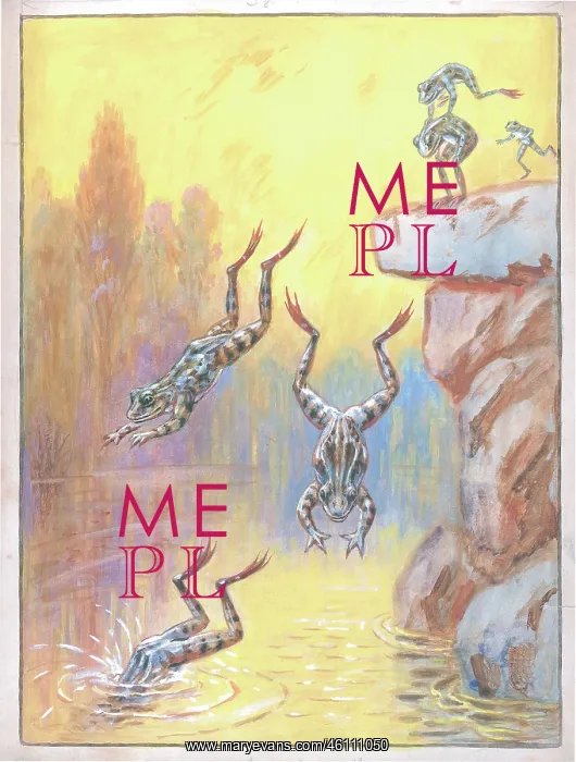  : Frogs diving into water