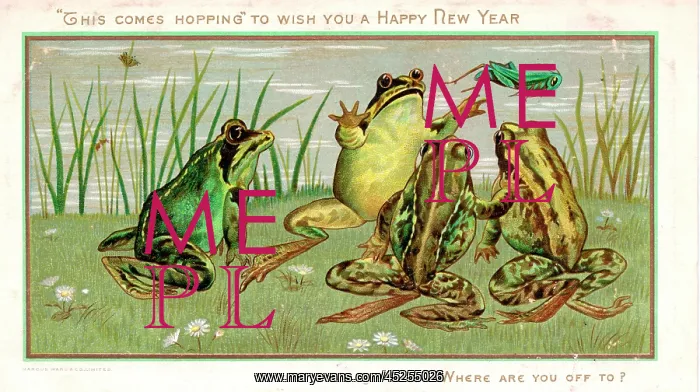 : Frogs and grasshopper on a New Year card : Frogs and grasshopper on a New Year card