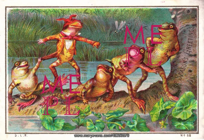 : Frogs playing blind man's buff on a Christmas card : Frogs playing blind man's buff on a Christmas card