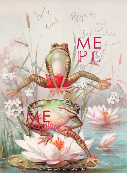  : Two frogs playing leapfrog on a greetings card