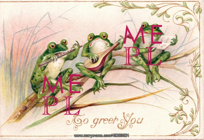  : Three frogs playing music on a greetings postcard
