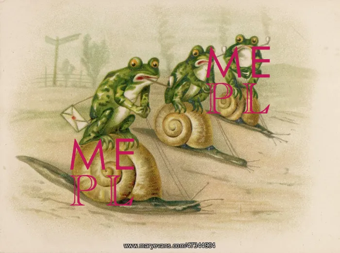 : FROGS RACE ON SNAILS