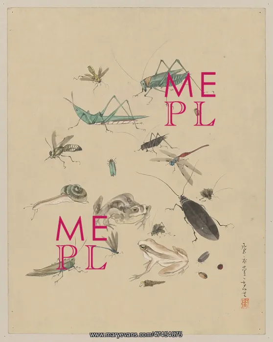 : Frogs, snails, and insects, including grasshoppers, beetles : Frogs, snails, and insects, including grasshoppers, beetles