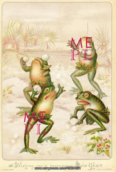 : Frogs snowballing on a New Year card : Frogs snowballing on a New Year card