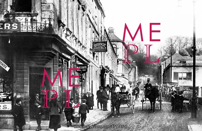  : Frome Bridge Street early 1900s