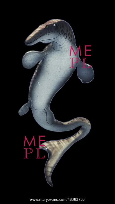 : Frontal view of a Mosasaurus aquatic reptile : Frontal view of a Mosasaurus aquatic reptile