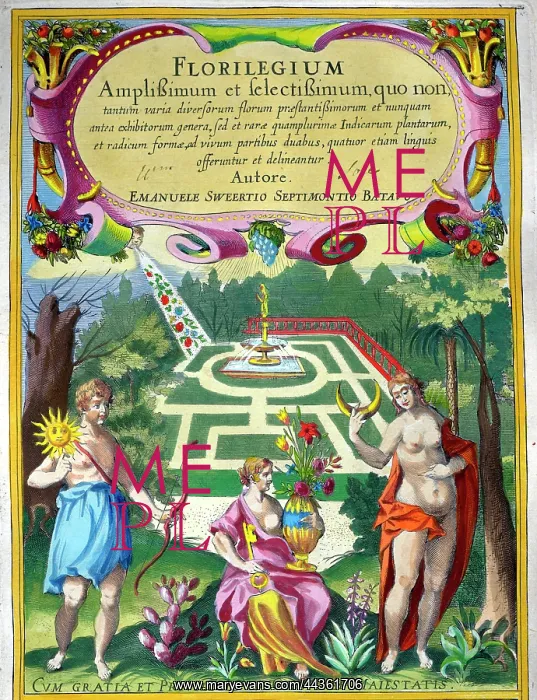  : Frontespiece