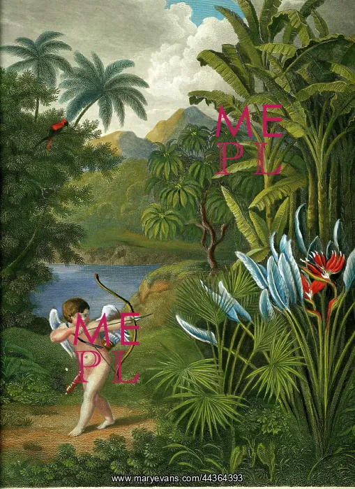  : Frontespiece - Cupid