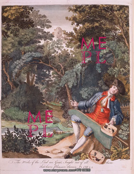 : Frontispiece from The Aurelian, by Moses Harris, 1766 : Frontispiece from The Aurelian, by Moses Harris, 1766