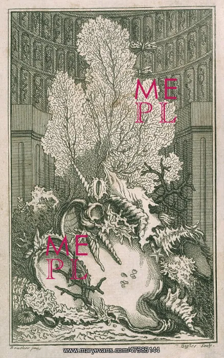 : Frontispiece of Catalogue Raisonne d'une collection : Frontispiece of Catalogue Raisonne d'une collection