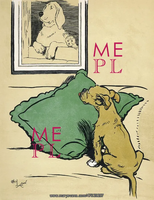 : Frontispiece, The Dog Who Wasn't What He Thought He Was : Frontispiece, The Dog Who Wasn't What He Thought He Was