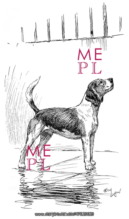 : Frontispiece illustration by Cecil Aldin, Hotspur the Beagle : Frontispiece illustration by Cecil Aldin, Hotspur the Beagle