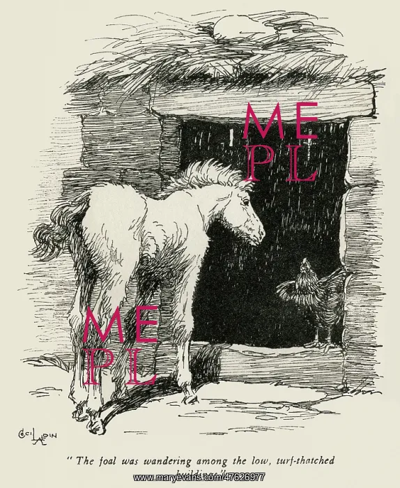: Frontispiece illustration by Cecil Aldin, Icelandic foal : Frontispiece illustration by Cecil Aldin, Icelandic foal