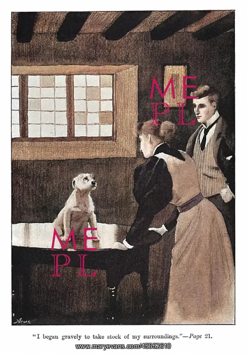 : Frontispiece illustration by Cecil Aldin, Spot : Frontispiece illustration by Cecil Aldin, Spot
