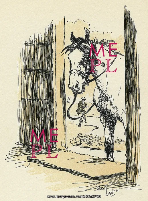 : Frontispiece illustration, the Joker, an Exmoor pony : Frontispiece illustration, the Joker, an Exmoor pony
