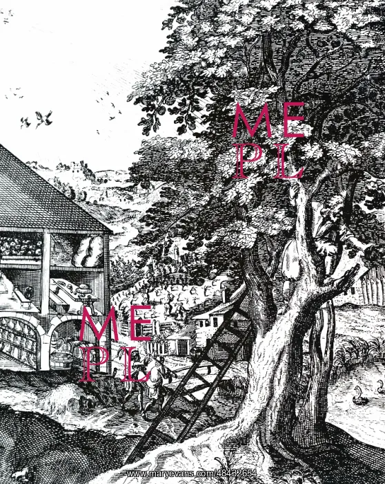 : Frontispiece to the section on house-keeping from : Frontispiece to the section on house-keeping from