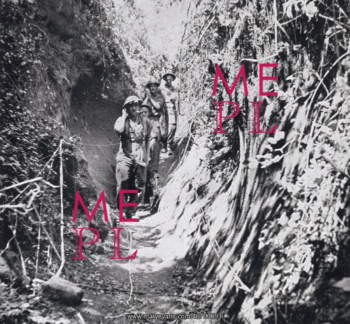 : A frontline wadi in the Anzio beachhead : A frontline wadi in the Anzio beachhead