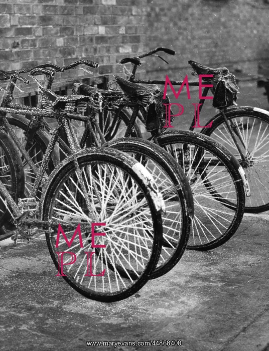  : FROST BIKE