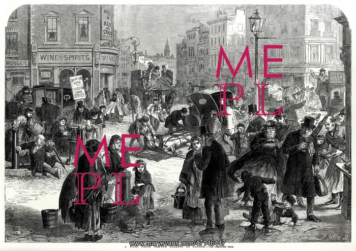 : Frost in London 1865 : Frost in London 1865