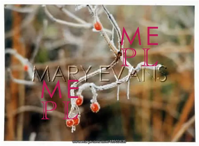  : FROST IN SE13