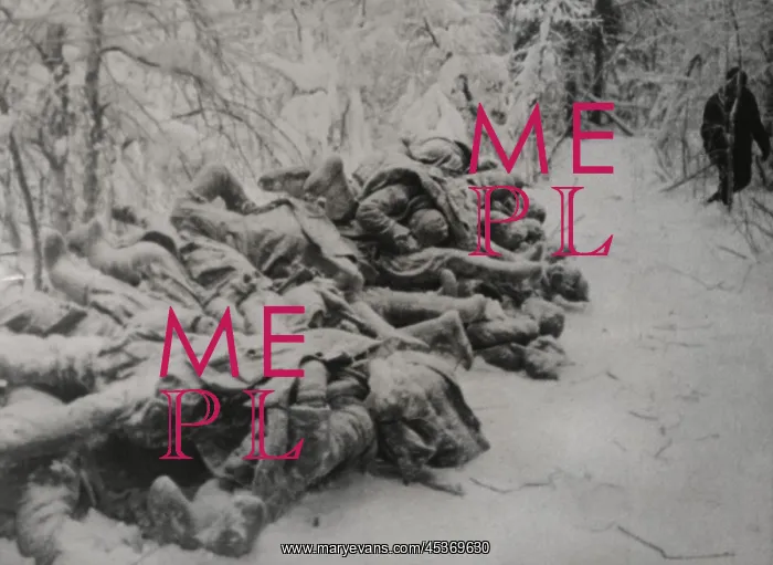 : Frozen bodies of dead Soviet (Russian) soldiers : Frozen bodies of dead Soviet (Russian) soldiers