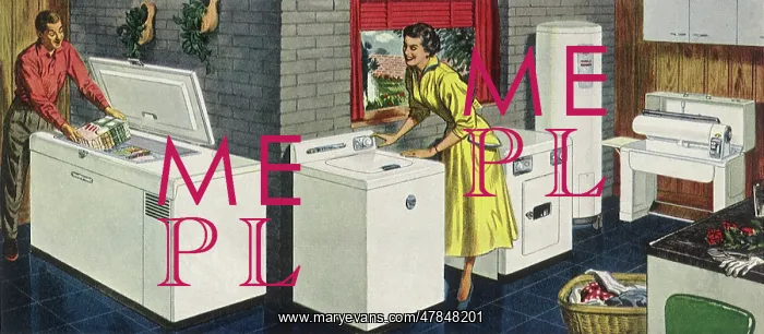 : Frozen Food and Laundry : Frozen Food and Laundry