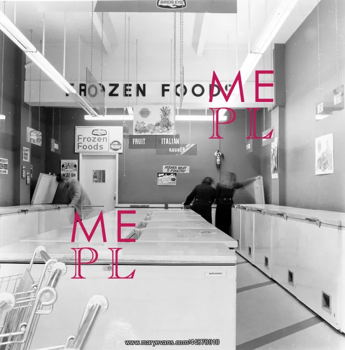 : FROZEN FOOD SHOP / 1970S : FROZEN FOOD SHOP / 1970S