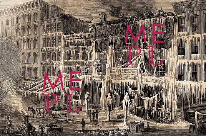 : Frozen Remains of Barnum's Museum, 1868 : Frozen Remains of Barnum's Museum, 1868