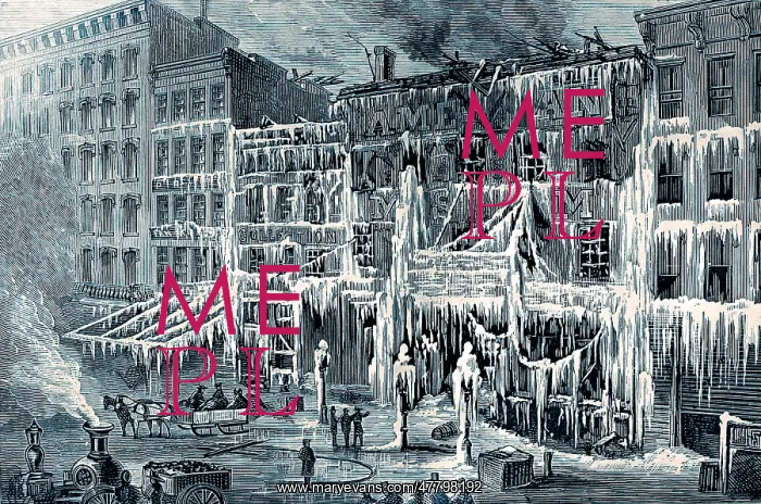 : Frozen Remains of Barnum's Museum, 1868 : Frozen Remains of Barnum's Museum, 1868