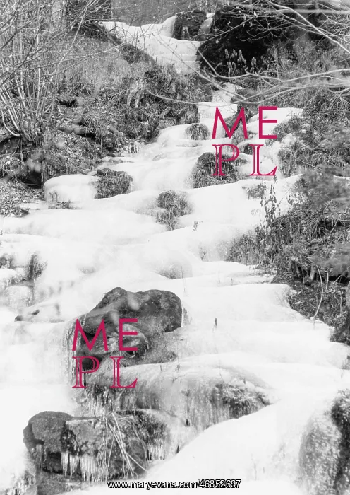 : Frozen stream in Carinthia : Frozen stream in Carinthia