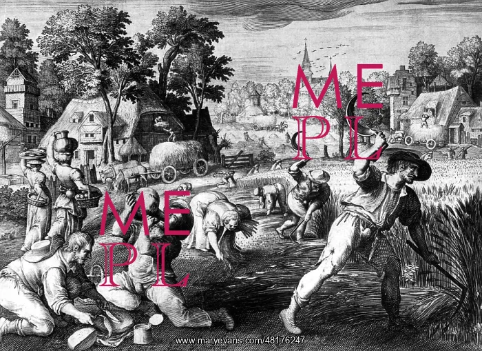 : Fruehstueck in der Ernte by Nicolas de Bruyn : Fruehstueck in der Ernte by Nicolas de Bruyn