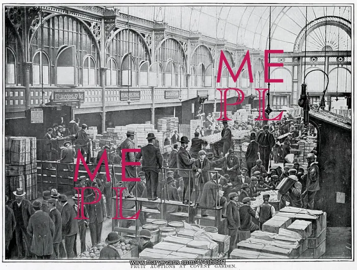 : Fruit auctions at Covent Garden 1900 : Fruit auctions at Covent Garden 1900