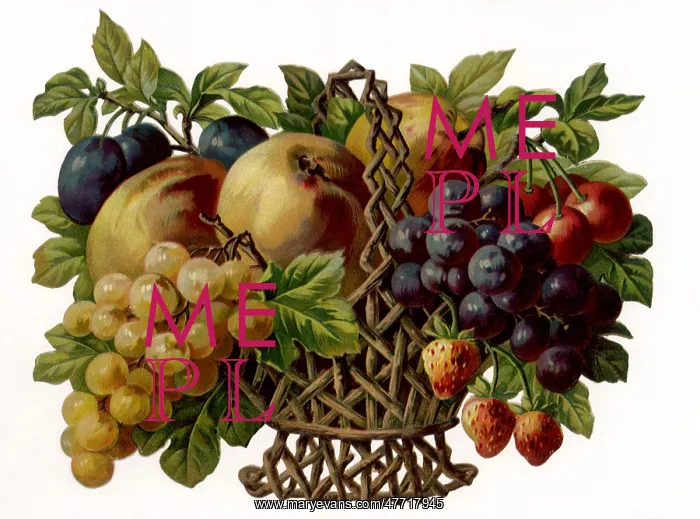 : Fruit Basket : Fruit Basket