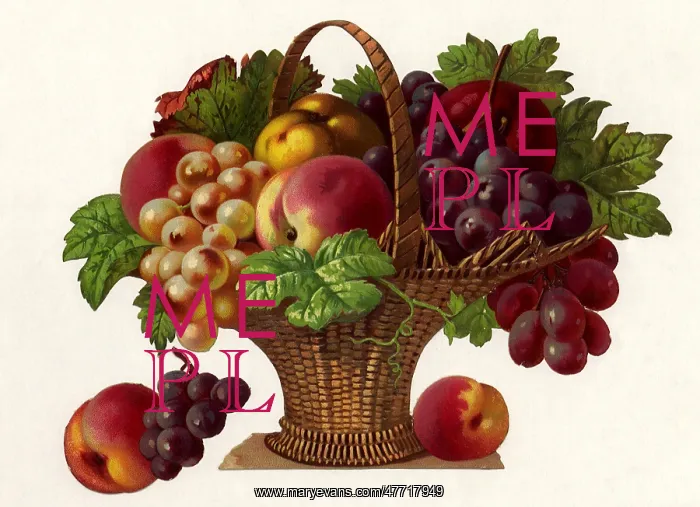 : Fruit Basket : Fruit Basket