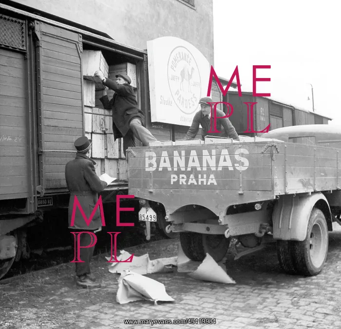  : Fruit delivery