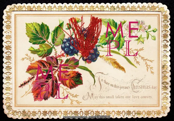 : Fruit and flowers on a Christmas card : Fruit and flowers on a Christmas card