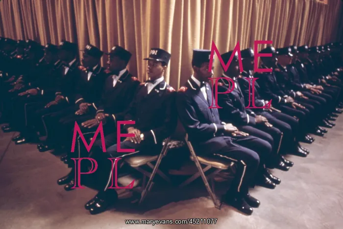 : The Fruit of Islam body guards for Elijah ? : The Fruit of Islam body guards for Elijah ?