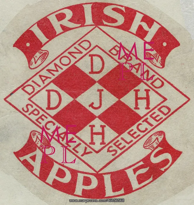 : Fruit Label -- Irish apples : Fruit Label -- Irish apples