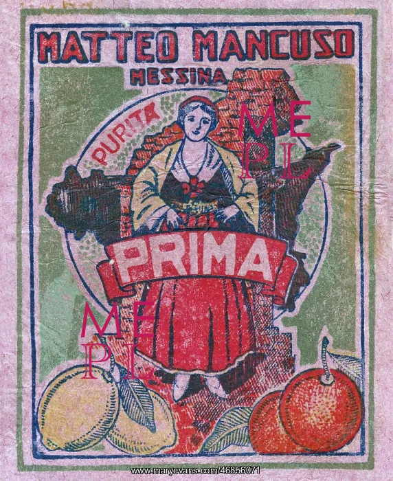 : Fruit Label -- oranges and lemons : Fruit Label -- oranges and lemons