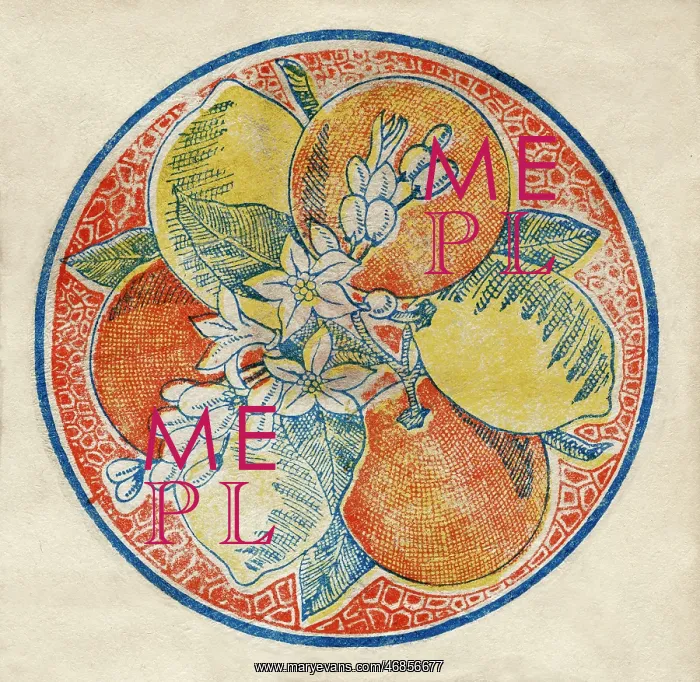 : Fruit Label -- oranges and lemons : Fruit Label -- oranges and lemons
