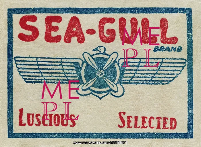 : Fruit Label -- Sea-Gull Brand : Fruit Label -- Sea-Gull Brand
